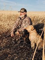 CHESAPEAKE BAY PUPPIES