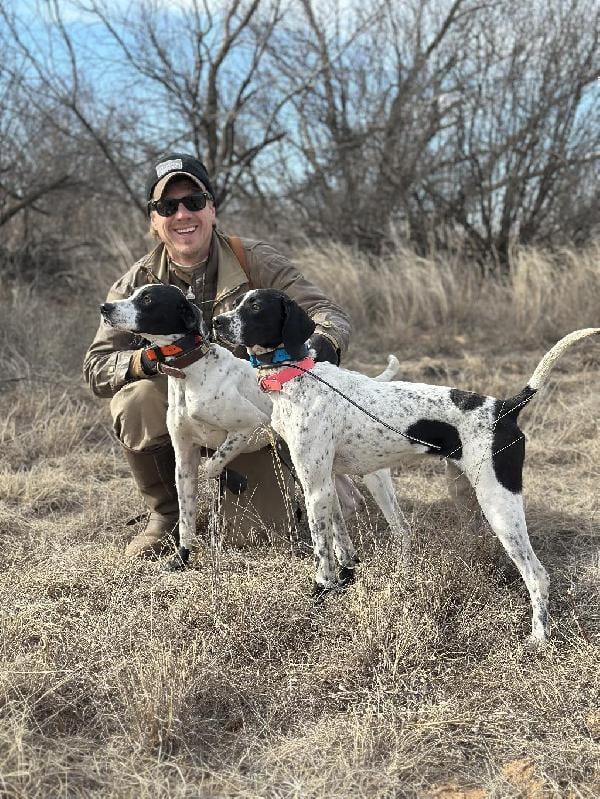 English Pointer