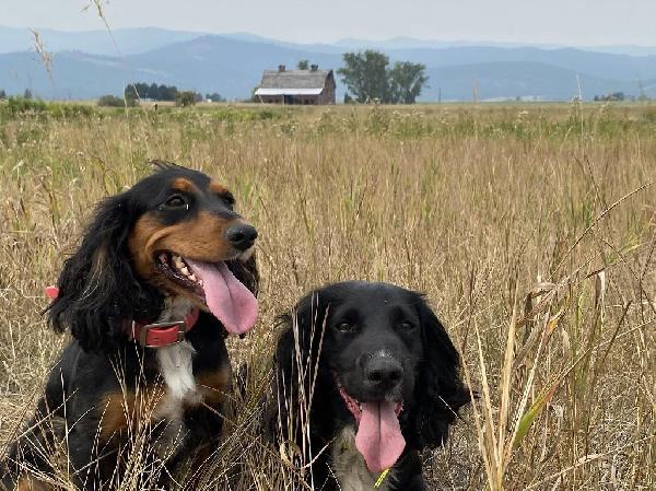 Screenshot 2025-11-29 at 2.42.00â€¯PM.png