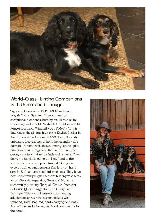 Exceptional Hunting Dog for Sale - 2.png