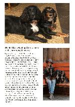 Exceptional Hunting Dog for Sale - 2.png