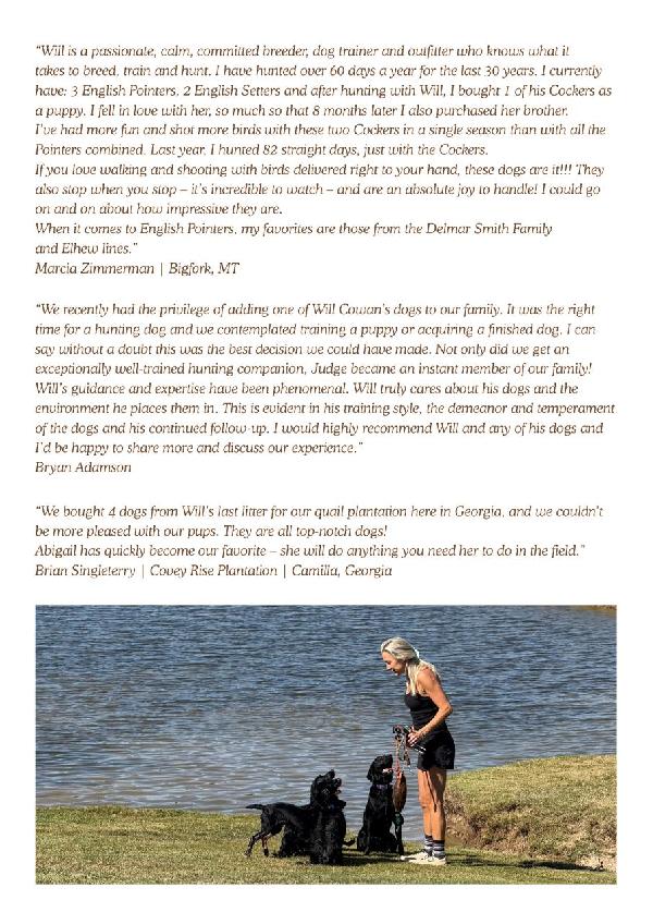 Exceptional Hunting Dog for Sale - 4.png