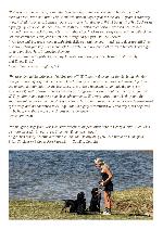 Exceptional Hunting Dog for Sale - 4.png