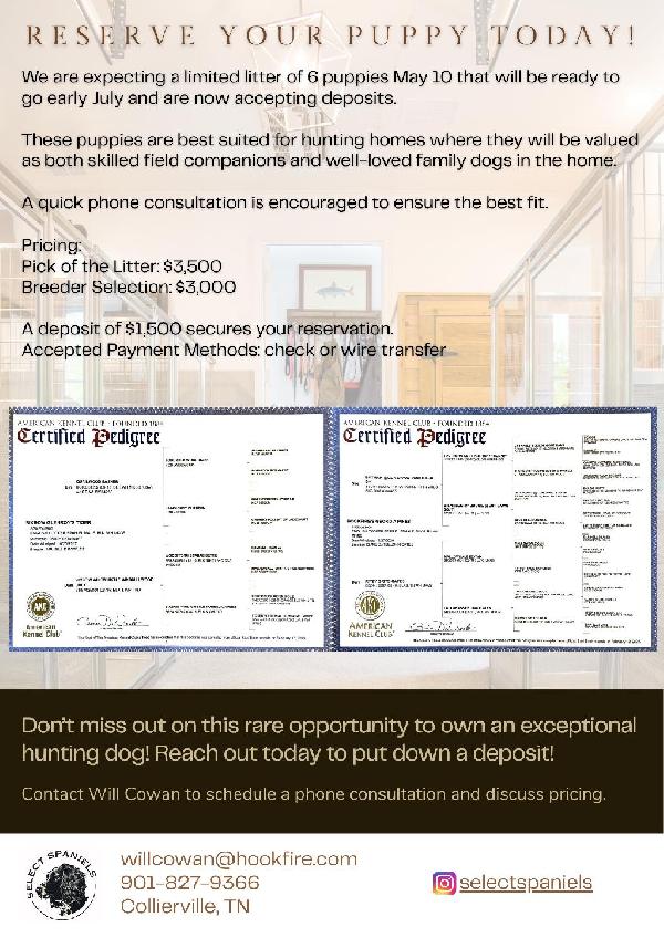 RESERVE TODAY