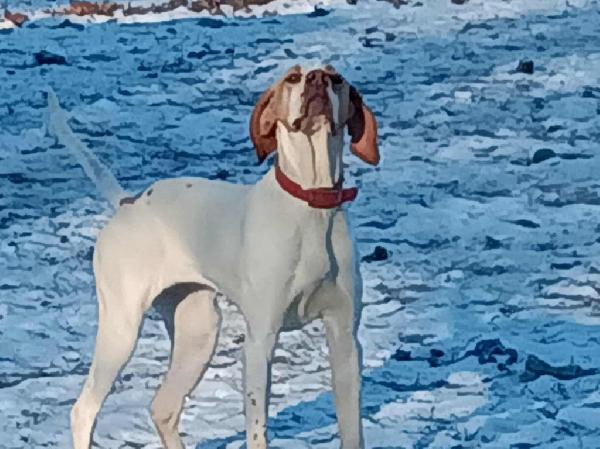 Messenger_creation_2AFBE14F-DAA7-461D-B9DF-52