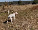 IMG_3185.jpeg