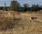 IMG_3186.jpeg