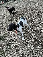 IMG_0245.jpeg