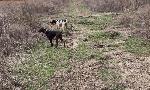 IMG_0416.jpeg