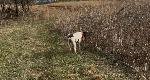 IMG_0418.jpeg
