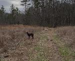 IMG_0415.jpeg