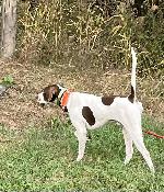 IMG_2352.jpeg