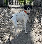 IMG_3577.jpeg