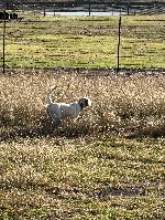 IMG_4487.jpeg