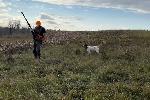 IMG_6967.jpeg