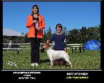 IMG_6966.jpeg