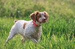IMG_6971.jpeg