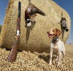 IMG_6969.jpeg