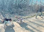 IMG_6973.jpeg