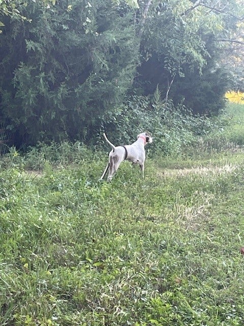 Photo1