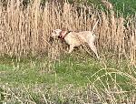 IMG_0839.jpeg