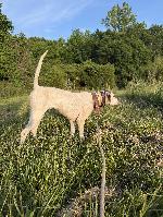 IMG_7614.jpeg