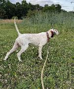 IMG_7633.jpeg