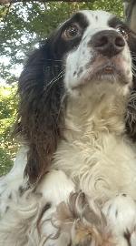 IMG_1434.JPEG