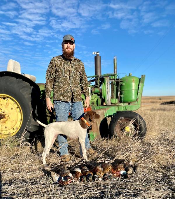 German Shorthaired Pointer