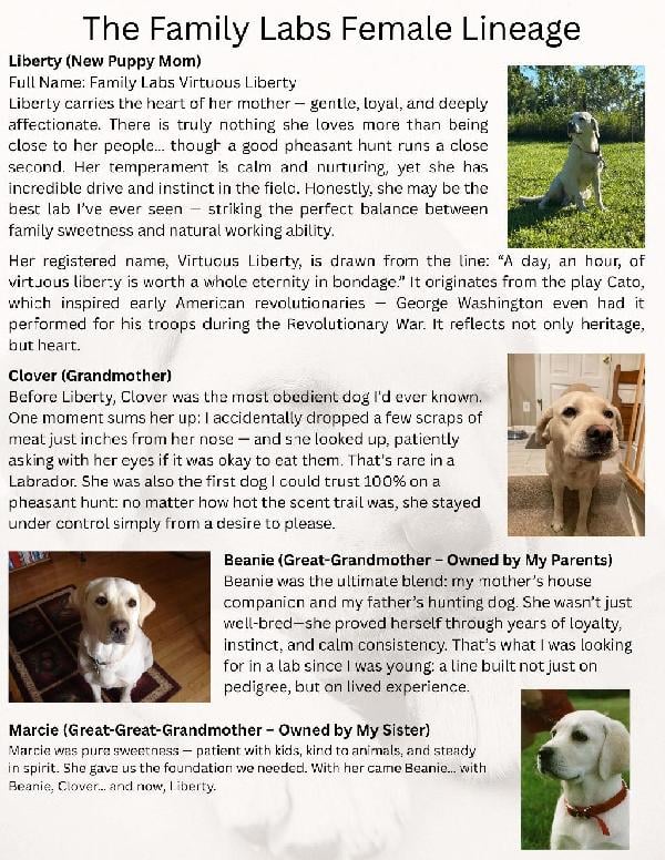 Family Labs Female Lineage.jpg