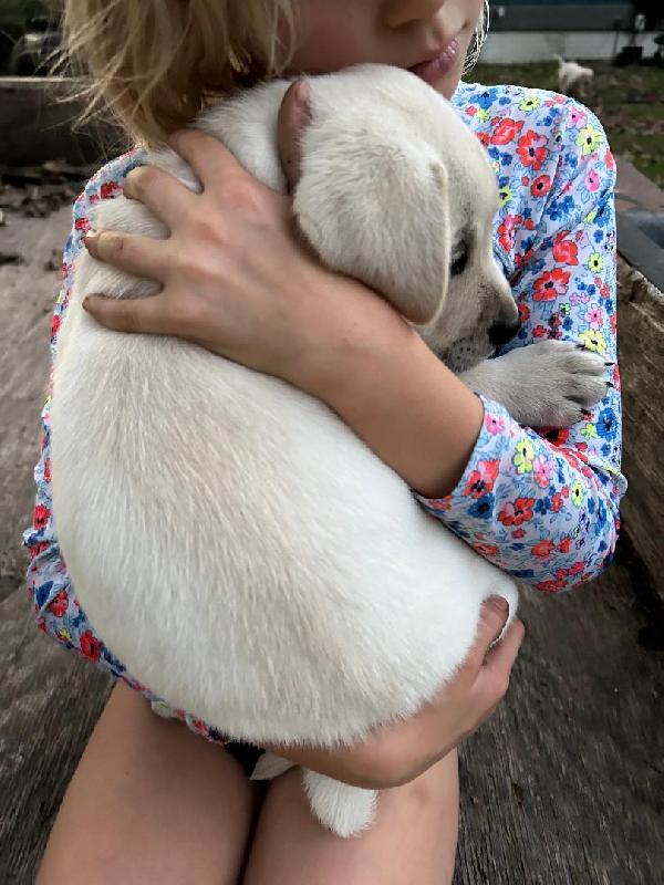 PUPPY SNUGGLING.JPG