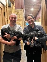 9D01F608-0568-492B-BEF4-D6F1922FA7DB_4_5005_c