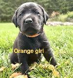 3D32401D-B7DE-440A-8DAA-2B79BD0E8F71_1_201_a.