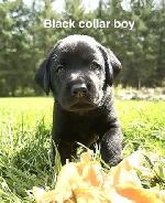 810B99E6-BD73-4664-AEDD-84DB88AABF00_4_5005_c