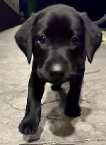 26723CBB-639D-4E65-B53C-143A7A2897F7_4_5005_c