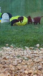 869B50CC-65D9-404A-92B6-A0D831BC6407_4_5005_c