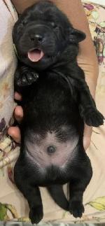 776A8146-2271-4F48-A1E7-1B79864F68F0_4_5005_c