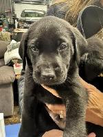 298F3E42-8EF5-4AAC-B93D-12467B7FC070_4_5005_c