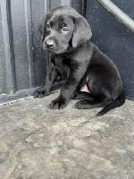 F8B9B135-5125-4C4D-BA2E-A2A2A8850FC6_4_5005_c