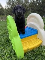 653B3919-491F-4DD6-9572-9C7CBDD149EF_4_5005_c