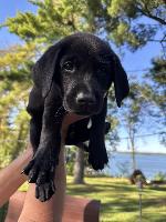 FB3521A6-816C-4B6B-B962-BE425070E9D0_1_105_c.