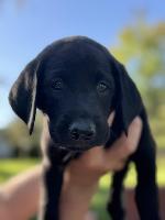 57D31BE5-F5DC-4E50-97C9-6B804E324D90_1_105_c.