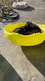 4739C67F-B707-4DAA-9F52-7C2D05048D39_4_5005_c