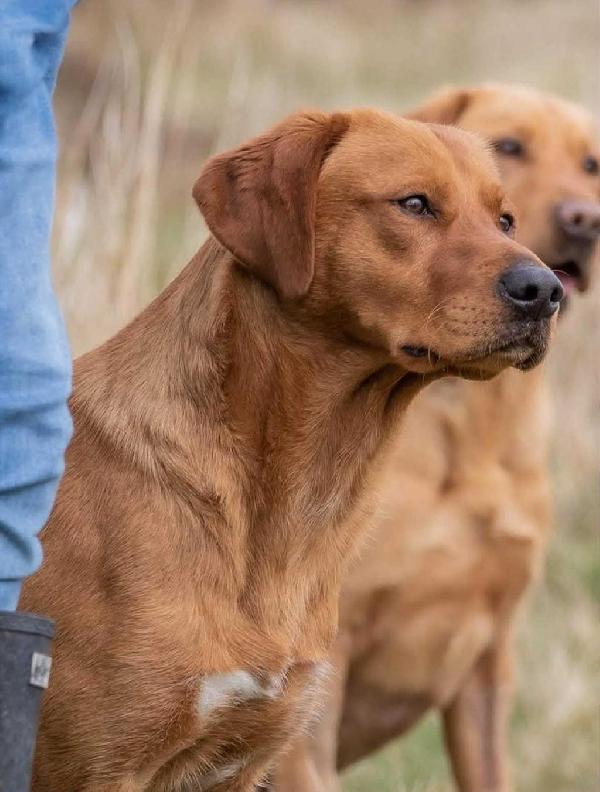 att.PrY3SQo2K9JfNNvpiJaA7s7VbU9y3ZJ0Jk5NXfRNg