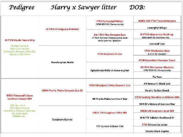 att.w_7BlydxYaifUPuR5ec7G0nqu7un4XAYPLxNs6wqI