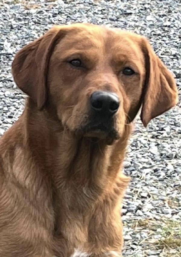 att.UjNiOI1fIux8enzBrj2Mirc-vNyhPOfEpgXmQffo4