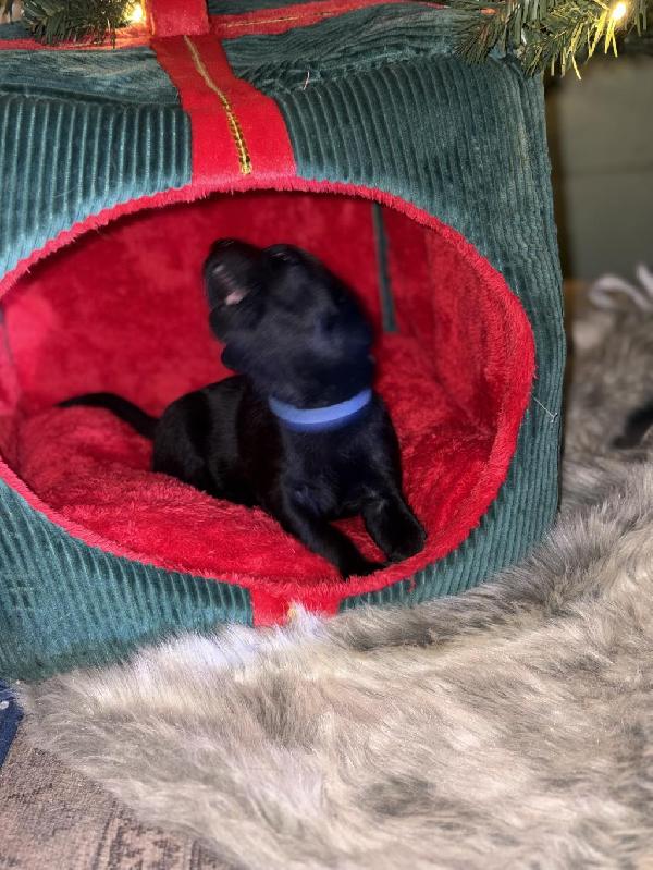 Photo Dec 16 2025, 16 30 12.jpg