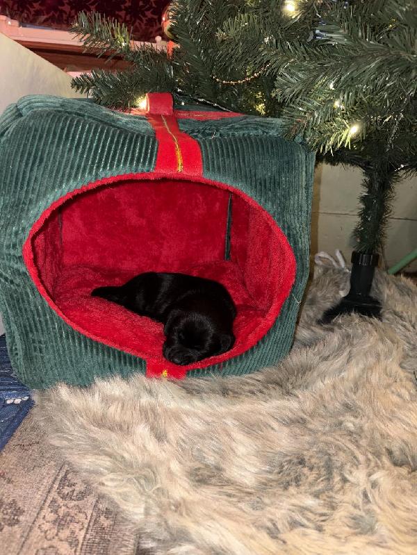 Photo Dec 16 2025, 16 38 20.jpg