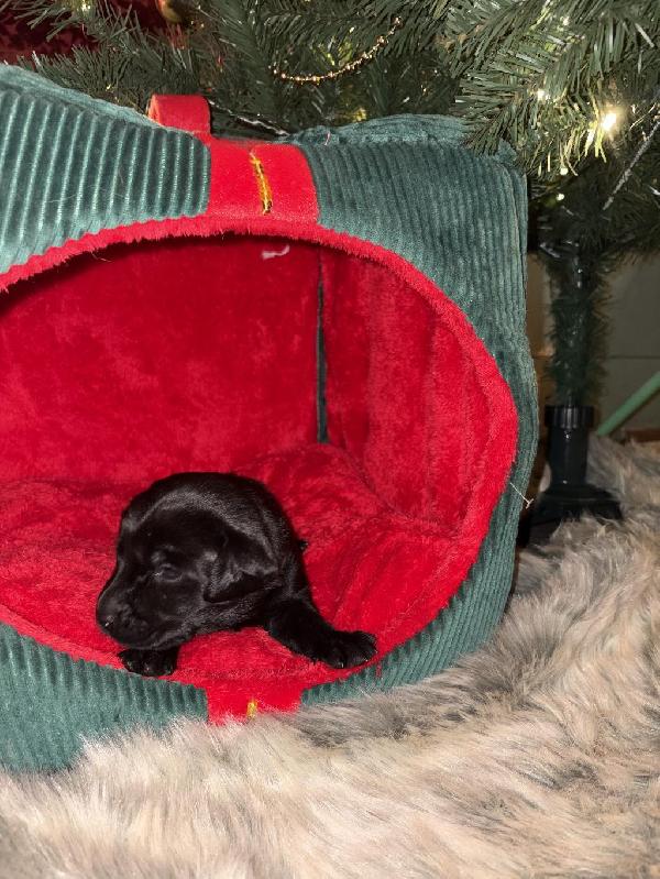 Photo Dec 16 2025, 16 39 07.jpg