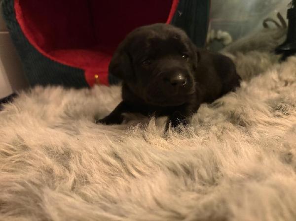 Photo Dec 16 2025, 16 40 56.jpg